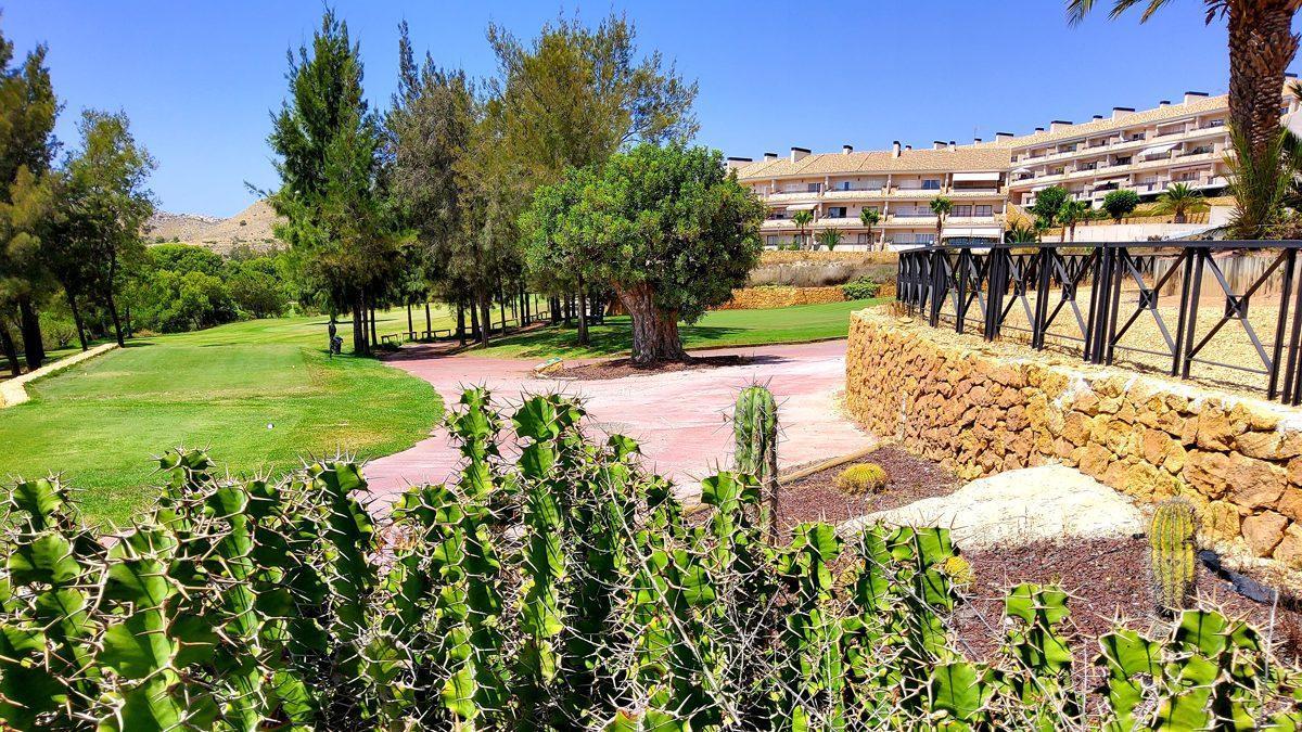 A scenic view of a golf course with frontline golf apartments in the background at Alenda Golf