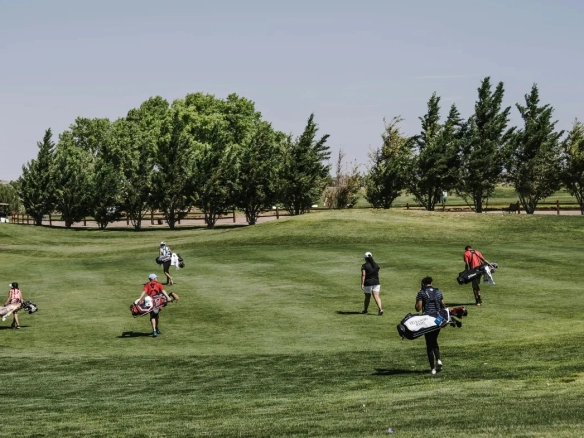 Group of golfers walking across a green golf course carrying their bags under a clear sky, with trees lining the background.