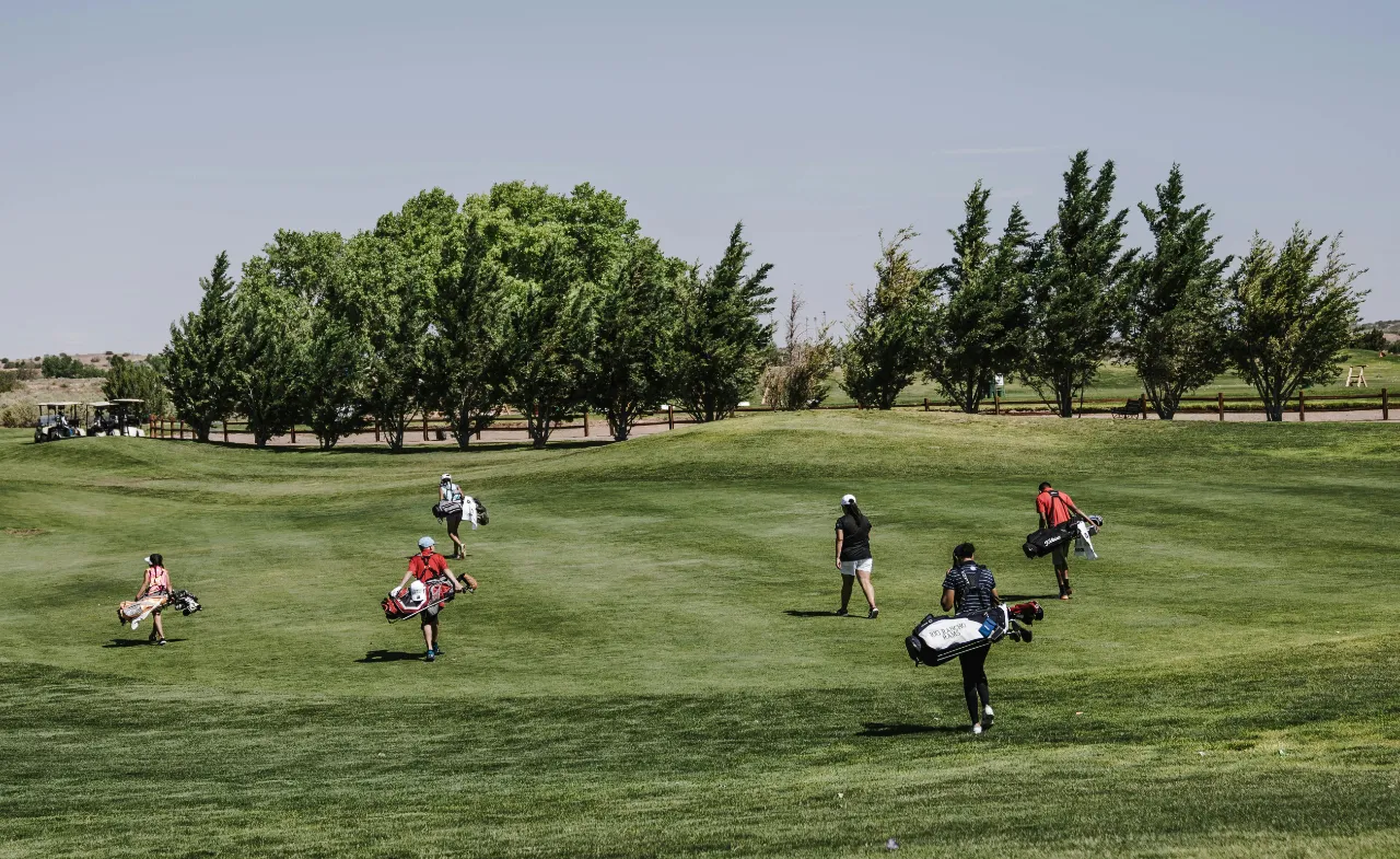Group of golfers walking across a green golf course carrying their bags under a clear sky, with trees lining the background.