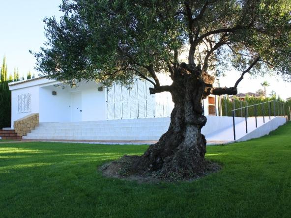 Alenda Golf Large Frontline Villa